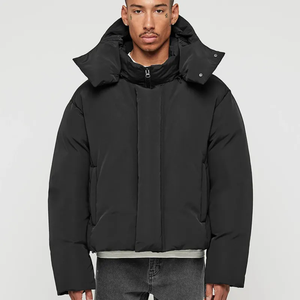 Veste d'hiver matelassée pour homme, streetwear, toile de haute qualité, col montant, imperméable, chaude, veste matelassée à bulles - Product Image 3