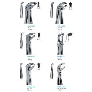 Forceps d'extraction dentaire manuels, instruments chirurgicaux, 151 incisives inférieures, extraction dentaire, acier inoxydable allemand, modèle - Product Image 2