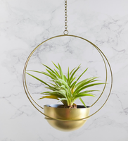WB INC - Pots de fleurs suspendus en fonte de style indien, design classique, avec chaîne, durables, écologiques, revêtement poudré, pour intérieur et extérieur