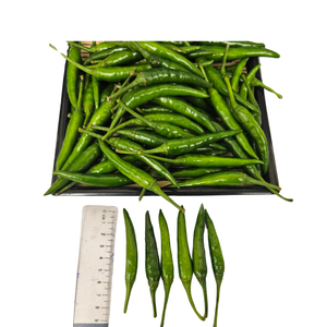 Verduras frescas duraderas, especias enteras agrícolas vietnamitas, excelente servicio posventa, especias individuales, hierbas - Product Image 4