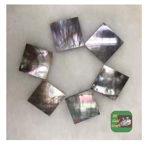 PLAQUES DE Nacre DOUBLE PLATE EN GROS, SURFACE POLIE POUR L'ARTISANAT ET LES BIJOUX DE QUALITÉ SUPÉRIEURE - Product Image 2