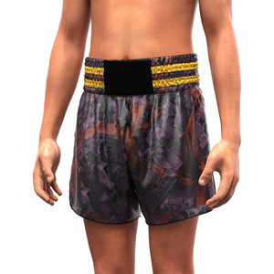 Venta al por mayor muay thai boxeo logotipo personalizado ligero hombres mujeres alto kickboxing pantalones cortos precio barato - Product Image 1