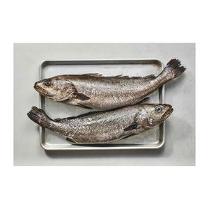 Corvina แช่แข็งอาหารทะเลสดพรีเมียมขายส่งจำนวนมาก - Product Image 1