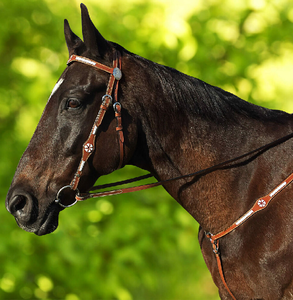 Bridon de cheval en cuir réglable, vente en gros de bridons de cheval en cuir véritable / Bridon de cheval fabriqué en usine, tout usage, saut d'obstacles - Product Image 1