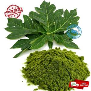 ใบมะละกอแห้ง ผลิตภัณฑ์คุณภาพสูงจากเวียดนาม ปี 2024 - Product Image 4