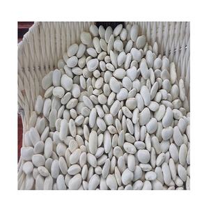 Frijoles blancos superventas altamente nutritivos listos para la exportación/100% Frijoles blancos orgánicos Top - Product Image 4