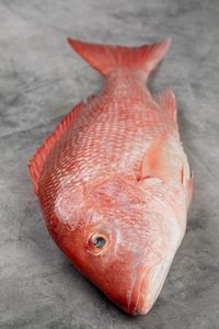 Pescado Pargo Rojo Entero Congelado al Por Mayor a Bajo Precio, Alta Calidad en Venta - Product Image 3