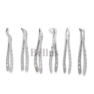Pince à racine d'incisive inférieure Standard anglaise professionnelle Instrument d'extraction dentaire personnalisable Outil chirurgical de qualité médicale - Product Image 6
