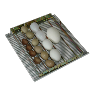 Incubatrice automatica Made in Italy di qualità Premium 25 uova di gallina PIOPIO 25 D - Product Image 4