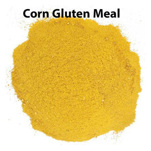 Farine de poisson, farine de soja, farine de gluten de maïs pour l'alimentation animale Farine de soja de meilleure qualité bon marché pour l'alimentation animale - Product Image 3