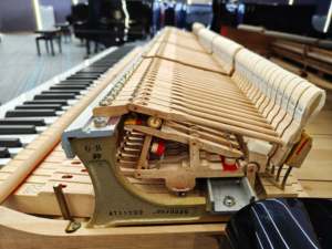 Piano à queue Yamaha G1B 88 touches en bois massif, design classique pour scène et studio, haute performance avec un son acoustique riche - Product Image 6