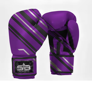 Equipo de boxeo de alta calidad - Product Image 1