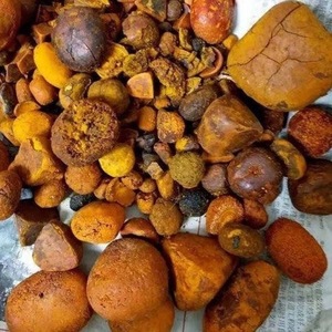 Cochonnes de bœuf naturelles pures de haute qualité, riches en protéines, issues de bœuf, poulet, escargot et abeille - Product Image 3