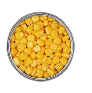 Maïs sucré en conserve en saumure Pure Quality Premium Export Vietnam - Product Image 3