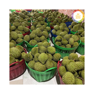 ทุเรียนสดจากเวียดนามบรรจุในทุเรียนสด99ข้อมูลทองคำเหมาะสำหรับตลาดค้าปลีกและอุตสาหกรรมอาหาร - Product Image 4