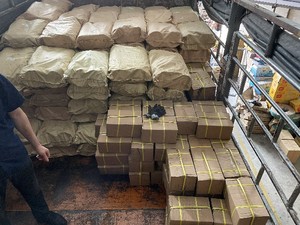 Campuchia 4*100 mùa xuân Carbon Dây Thép Căng thẳng hướng dẫn sử dụng bão giá lăn con lăn màn trập cửa Con lăn mù thành phần mùa xuân - Product Image 4