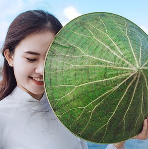 Chapeau conique en feuille de lotus, chapeau traditionnel vietnamien fait à la main pour souvenir et décoration - Product Image 3