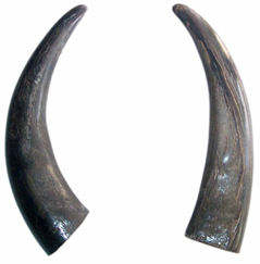 Punta de Cuerno de Búfalo Natural Ecológica, Técnica de Tallado a Mano, Moderna, Impermeable, para Mangos de Cuchillos/Espadas, Monturas de Gafas - Product Image 5