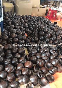 2025 Offre Spéciale! 100% bol décoratif sculpté en noix de coco naturelle Technique personnalisée pour les festivals ustensiles de cuisine Camping bols à soupe - Product Image 2