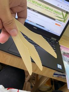 Cuchillo desechable de madera de abedul natural 100%-Cubiertos sostenibles para catering - Product Image 6