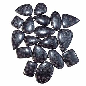 Lote al por Mayor de Piedras Preciosas de Coral Fósil Negro 100% Natural, Cabujones de Diferentes Formas y Tamaños para la Fabricación de Joyas - Product Image 1