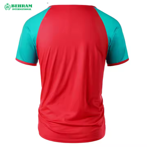 T-shirts pour hommes 100% coton, col rond, coupe ample, tissu 240g, respirant et écologique, fabriqué au Pakistan, tissu de haute qualité, confortable - Product Image 6