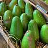 Aguacates Hass frescos de California a la venta - Product Image 6