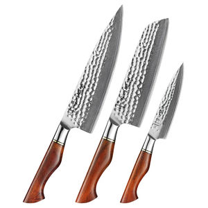 Juego de Cuchillos Profesionales Japoneses de Acero Inoxidable para Trinchar, Filetear y Pelar Carne, con Mango de Madera, 7 Piezas - Product Image 1