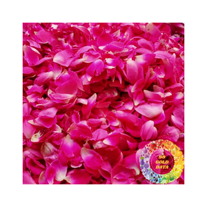 Thé de bourgeon de rose séché d'approvisionnement en vrac de qualité supérieure Rosae Rugosae Infusion naturelle de plantes Boîte de sac d'emballage d'exportation en gros - Product Image 6