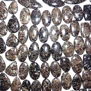 100% cabujones de ágata Turritella naturales increíble ágata Turritella semipreciosa venta al por mayor energía curativa piedras preciosas sueltas caídas - Product Image 3