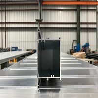 Profilés en T en alliage d'aluminium série Shalumi 6000 avec anodisation/peinture en poudre, services OEM/ODM pour fenêtres et portes – Vente chaude au Vietnam