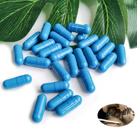 Complément Herbal OEM à Effet Prolongé pour l'Énergie Masculine – Capsules Puissantes à Prix Avantageux