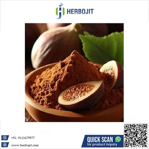 โรงงานผลิตผงมะเดื่อแห้งแบบพ่นฝอย ฮีโรบีจิท อินเตอร์เนชั่นแนล คุณภาพเยี่ยม อร่อย ปราศจากสารเติมแต่งอาหารมากเกินไป - Product Image 6