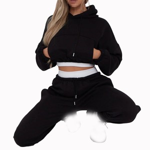 Ensemble de survêtement pour femme avec sweat à capuche court et pantalon de jogging en molleton doux, coupe décontractée, streetwear, deux pièces, export - Product Image 2