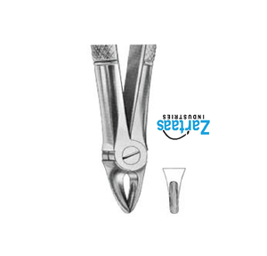 Pince d'extraction en acier inoxydable de haute qualité racines supérieures fig. 29S exportateurs et fabricant - Product Image 2