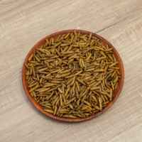 Grossistes chinois de larves de mouches soldat noires 100% végétales pour chats, chiens, porcs, chevaux et poissons