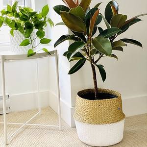 Cesta tejida a mano para el vientre de algas marinas, cestas de mano, artesanía barata, hecha en Vietnam, venta al por mayor, listo para la exportación - Product Image 6