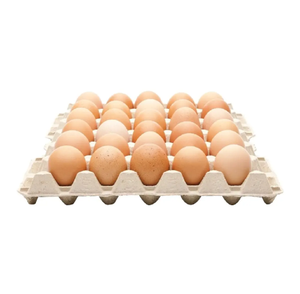 Nouveaux œufs de poule frais, œufs d'élevage, œufs de table de qualité supérieure, coquille blanche et coquille brune - Product Image 4