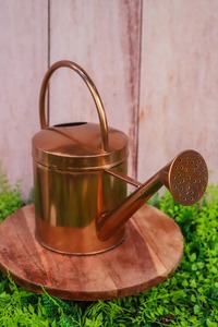 บัวรดน้ำต้นไม้โลหะสีทองแดงขนาดครึ่งแกลลอน สำหรับใช้ในบ้านและนอกบ้าน พร้อมพวยกาที่ถอดออกได้ - Product Image 5