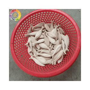 Fournisseur de gros de poisson en bois du Vietnam haute qualité écologique, fabriqué à la main, conception sculptée et abordable, exportation en vrac - Product Image 3