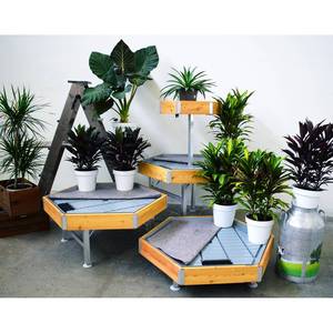 <b>Hexagonal</b> <b>Wood</b> Display Rack-White <b>Wood</b> Line AMOR - Product Image 4