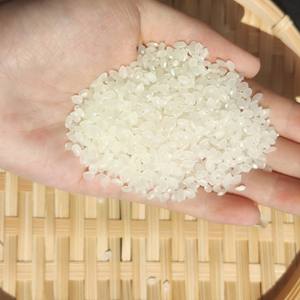 Japonica vietnamita arroz blanco seco Calrose Sushi textura dura redonda para cocinar alimentos + 84398885178 - Product Image 5