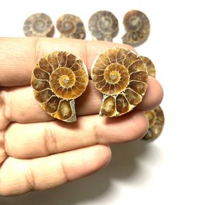 Fósil de Amonita Natural Marrón, Piedra Preciosa con Certificación IGI, Grado AAA, Alta Calidad, Tamaños Variados, Pares Combinados para Joyería - Product Image 1