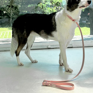 Correa Simple y Moderna SUMMA para Perros, 2 Metros, Material TPU Ecológico y Duradero, Remache Sólido, Impermeable y Lavable - Product Image 2