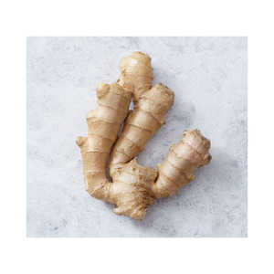 <b>Fresh</b> <b>ginger</b> root available for global distribution at cost effective wholesale prices - Product Image 4