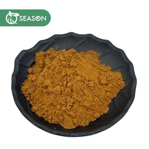 Menyediakan 15% hingga 99% salenin putih bubuk ekstrak kulit Dedalu 10:1 - Product Image 1