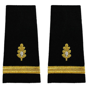 Direct Factory Sale Custom High Quality Cheap Embroidery Patches Shoulder Patch <b>Airline</b> <b>Uniforms</b> Epaulettes - Product Image 2