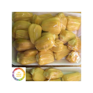 ขนุนแช่แข็งที่มีคุณภาพสูงไม่มีเมล็ดมีจำหน่ายสำหรับตลาดต่างประเทศจำนวนมากและ OEM รองรับ - Product Image 2