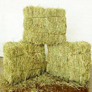 Heno de alfalfa de grado superior para ganado y caballos Alimentación animal Premium 25 kg/bolsa 10% de humedad a la venta - Product Image 1