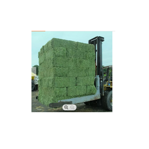 Pellets de Heno de Alfalfa Fermentado de Alta Calidad, 60% de Proteína, Alimento para Animales, para Caballos, Ganado, Cerdos, Peces - Empaque de 25 kg/bolsa, Grado Uno - Product Image 4